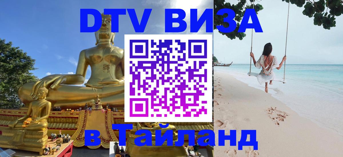 Оформление DTV визы под ключ: стоимость и тарифы, только загранпаспорт - 